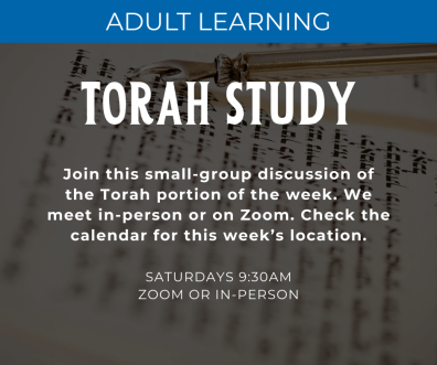 Torah Study